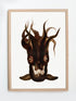 vintage squid raw wood frame